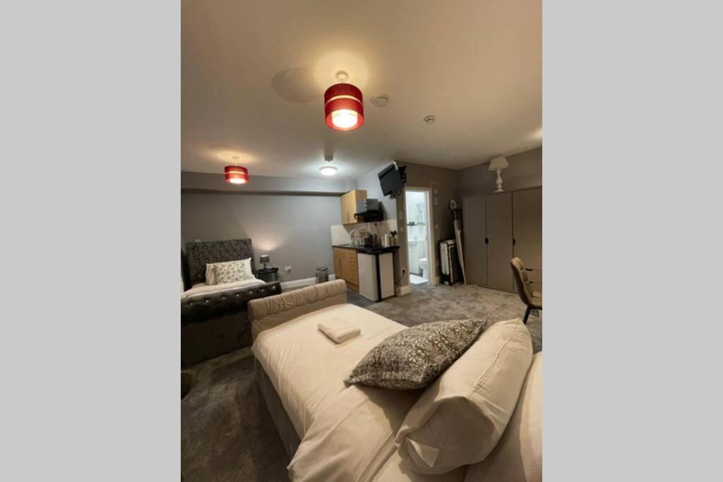 Spacious, Bright Twin Studio Apartment London Exterior photo